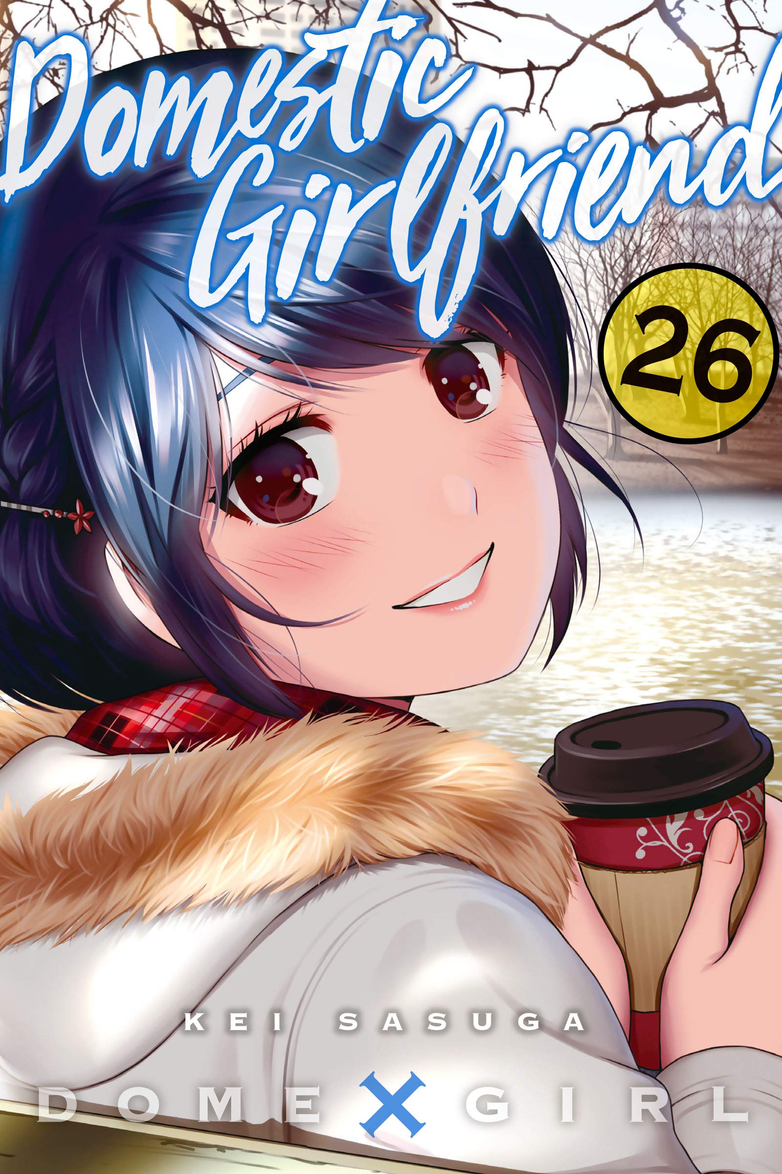 Domestic Girlfriend, Vol. 26 book cover