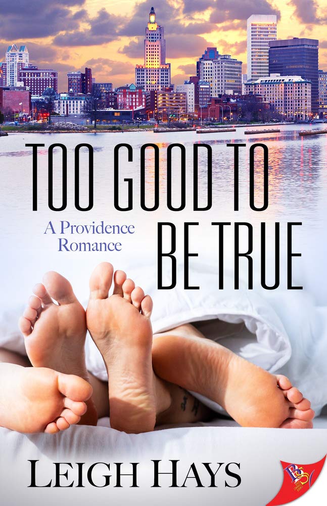 Too Good to be True by Leigh Hays Goodreads