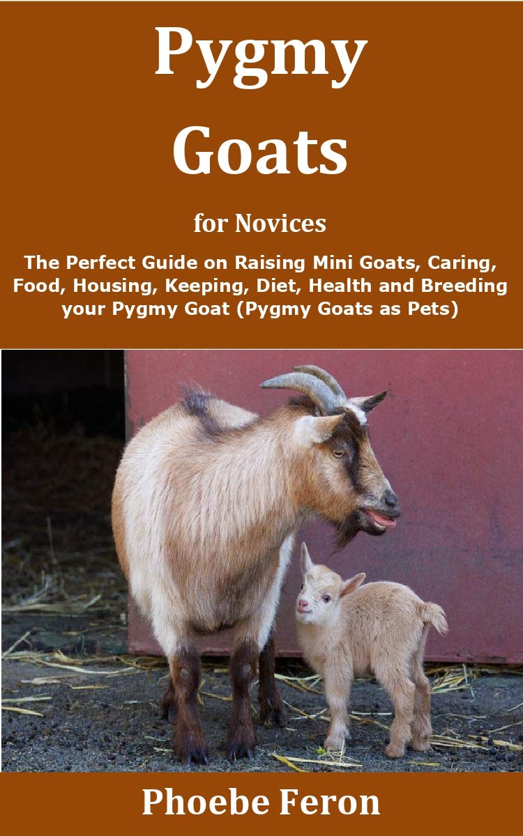 Pygmy Goats for Novices The Perfect Guide on Raising Mini Goats