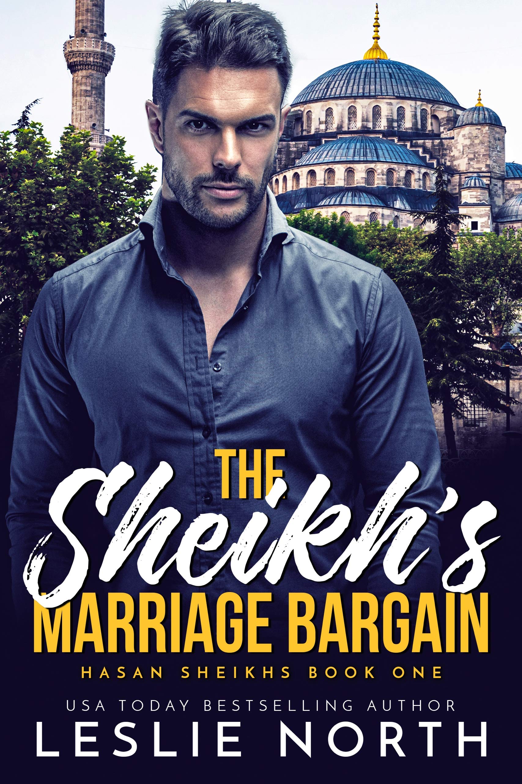 Hasan Sheikhs book cover 1