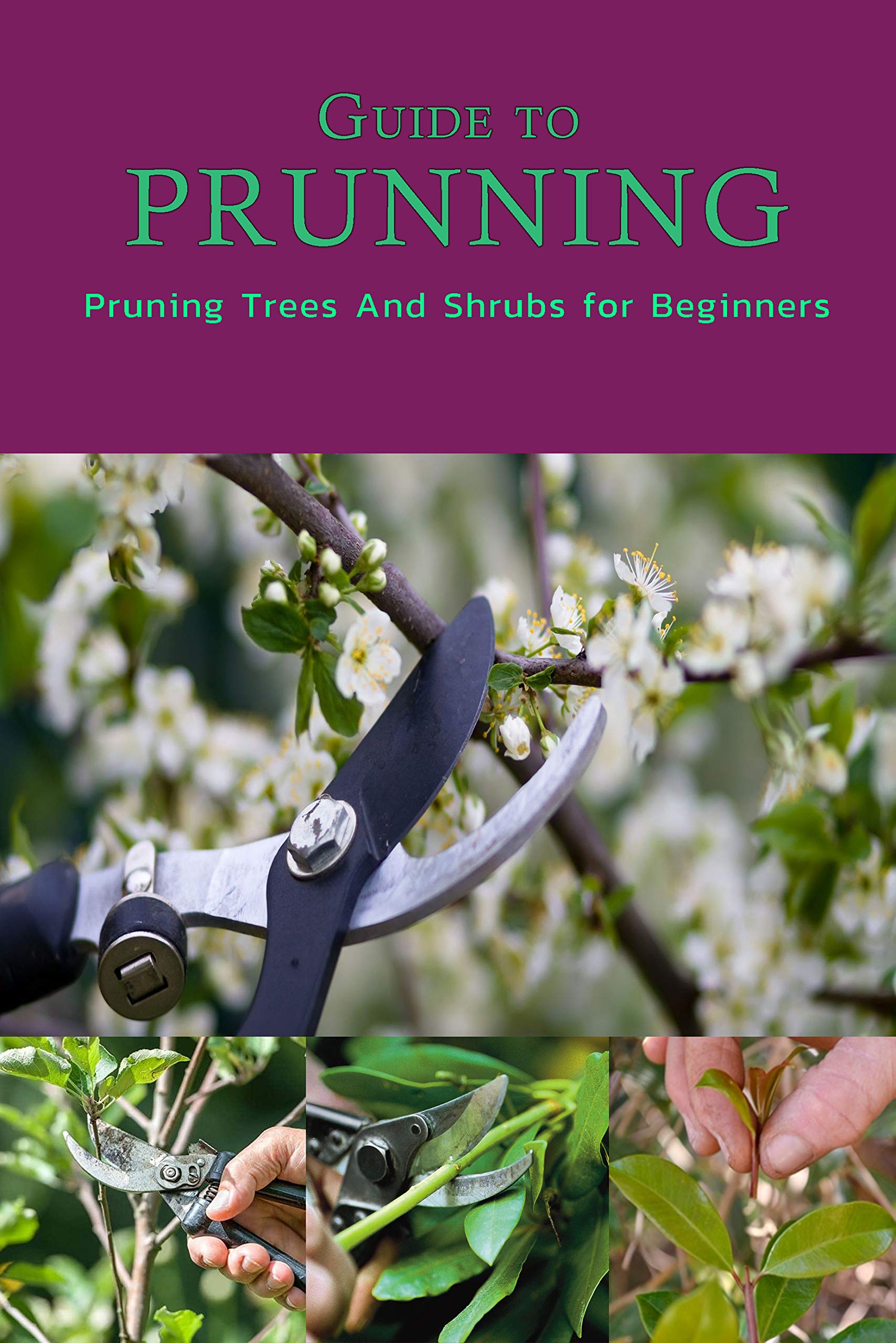 Guide to Pruning: Pruning Trees And Shrubs for Beginners: Pruning Guide ...