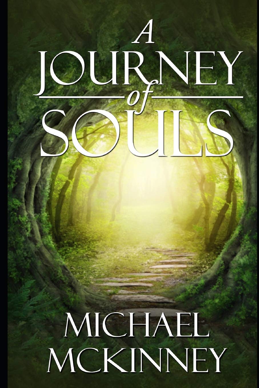 A Journey of Souls by Michael McKinney Goodreads