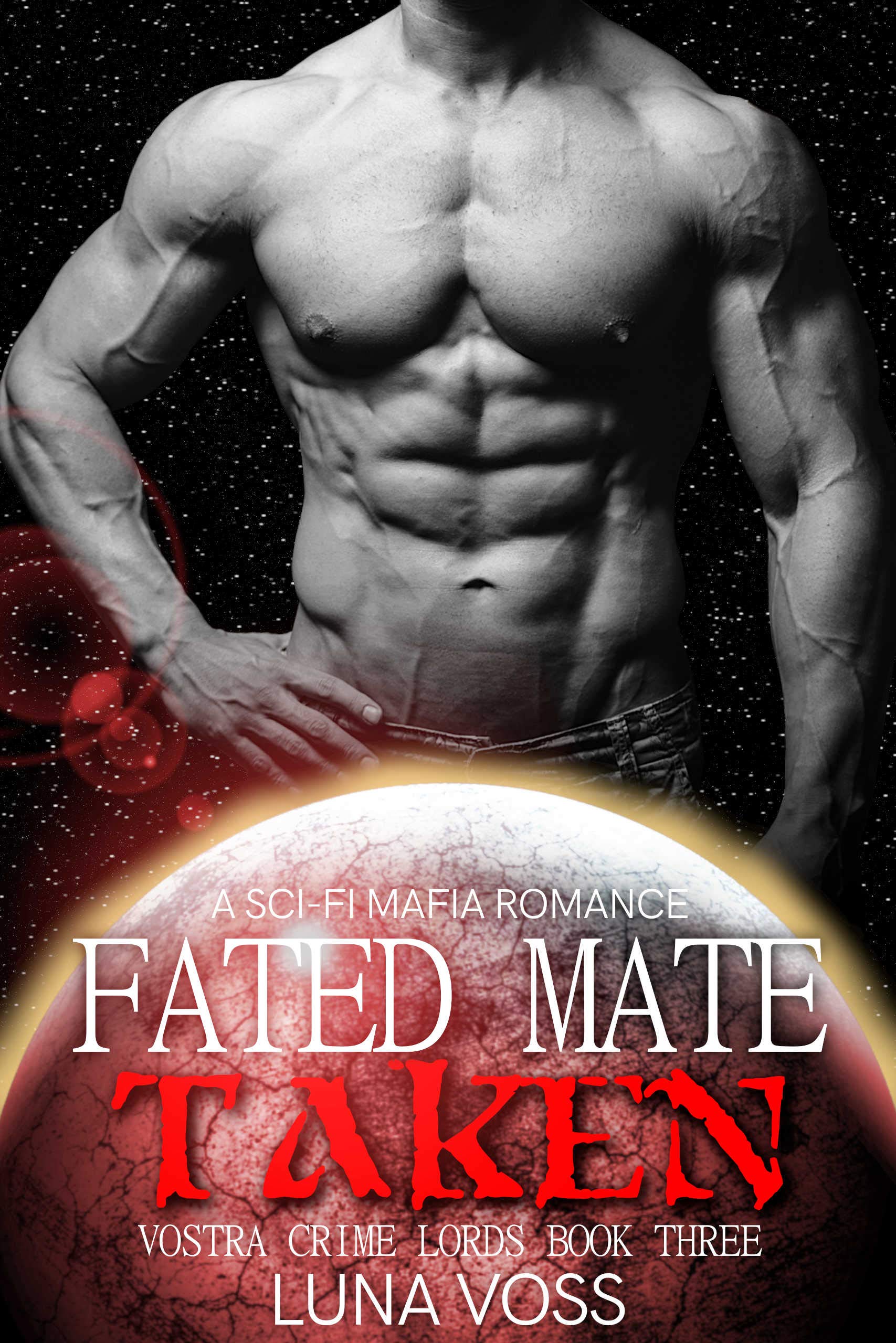 Vostra Crime Lords book cover 3
