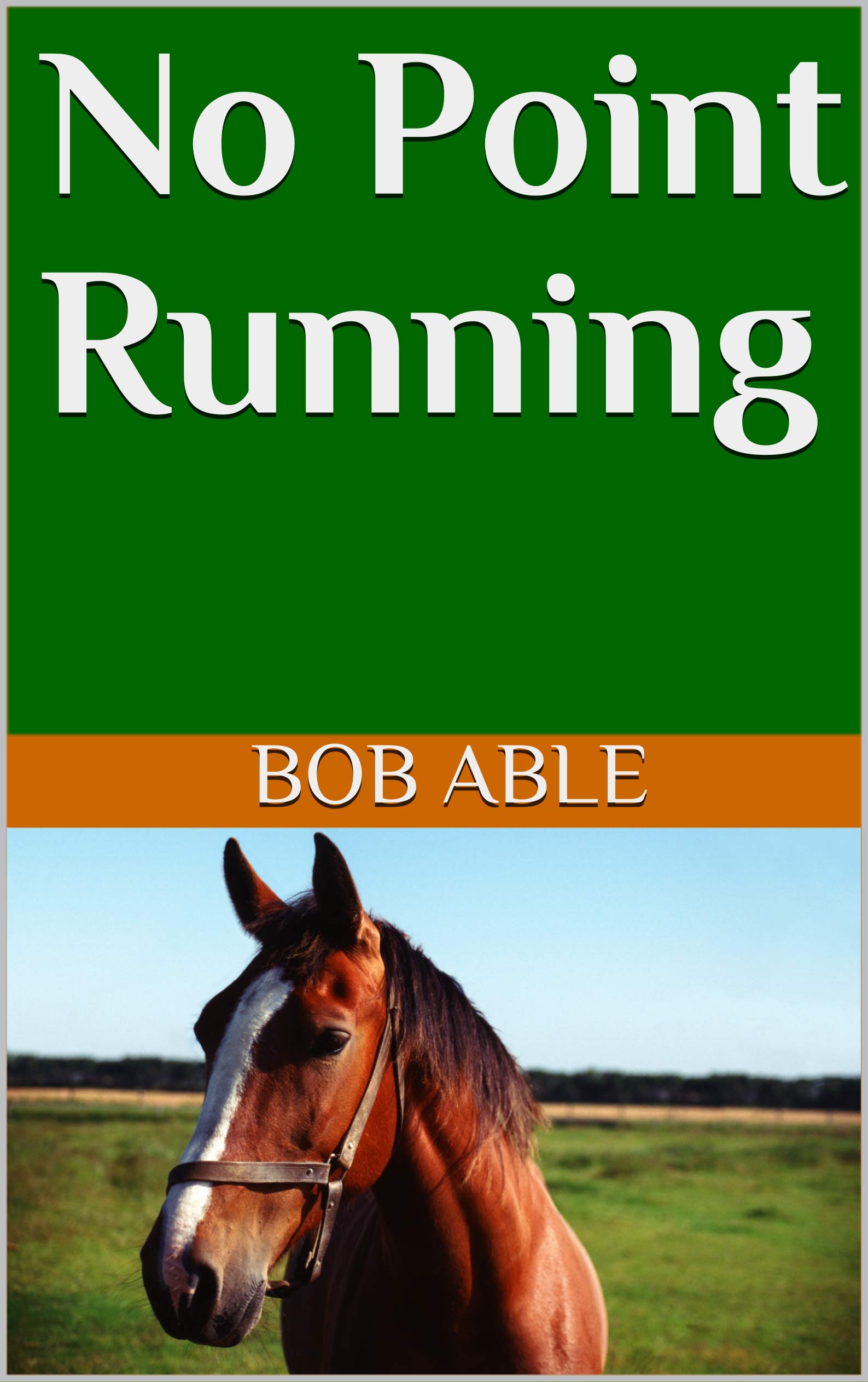 No Point Running