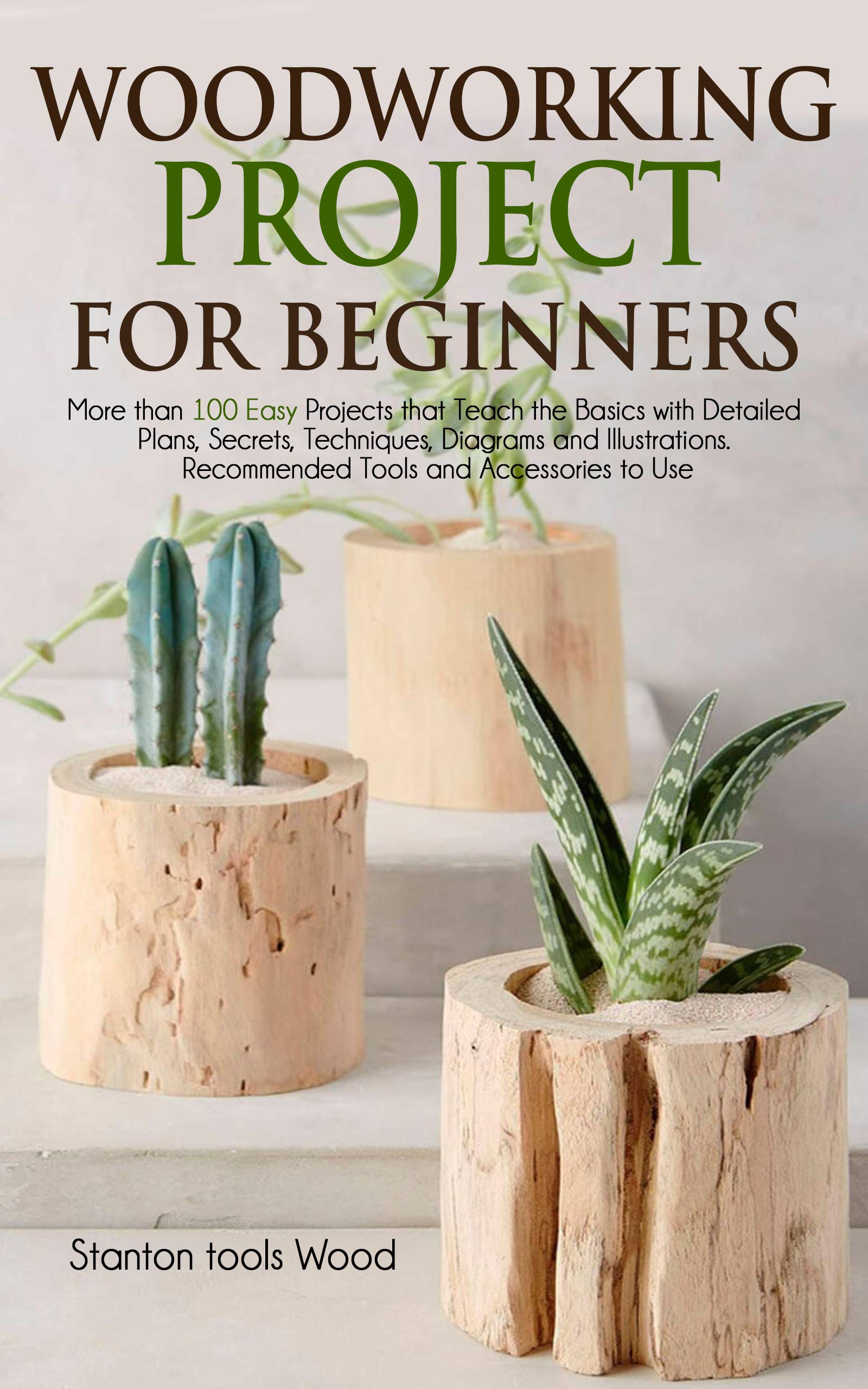 WOODWORKING PROJECTS FOR BEGINNERS: More than 100 Easy Projects that ...
