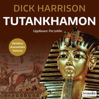 Tutankhamon book cover