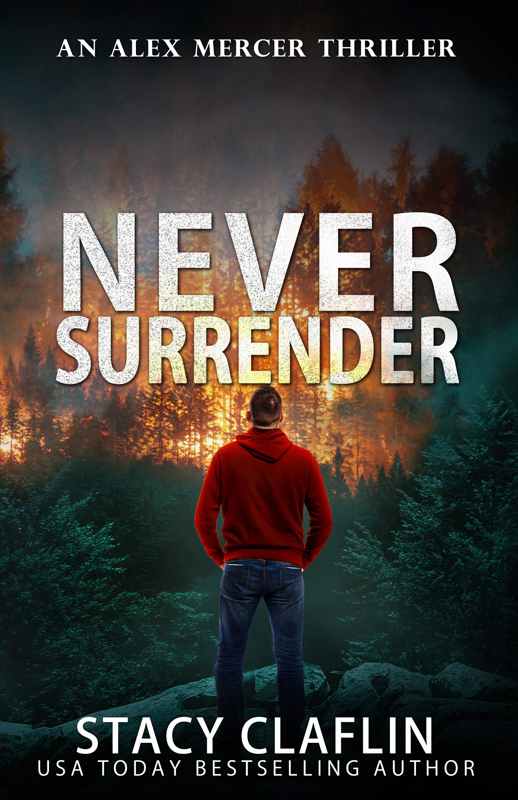 Never Surrender book cover