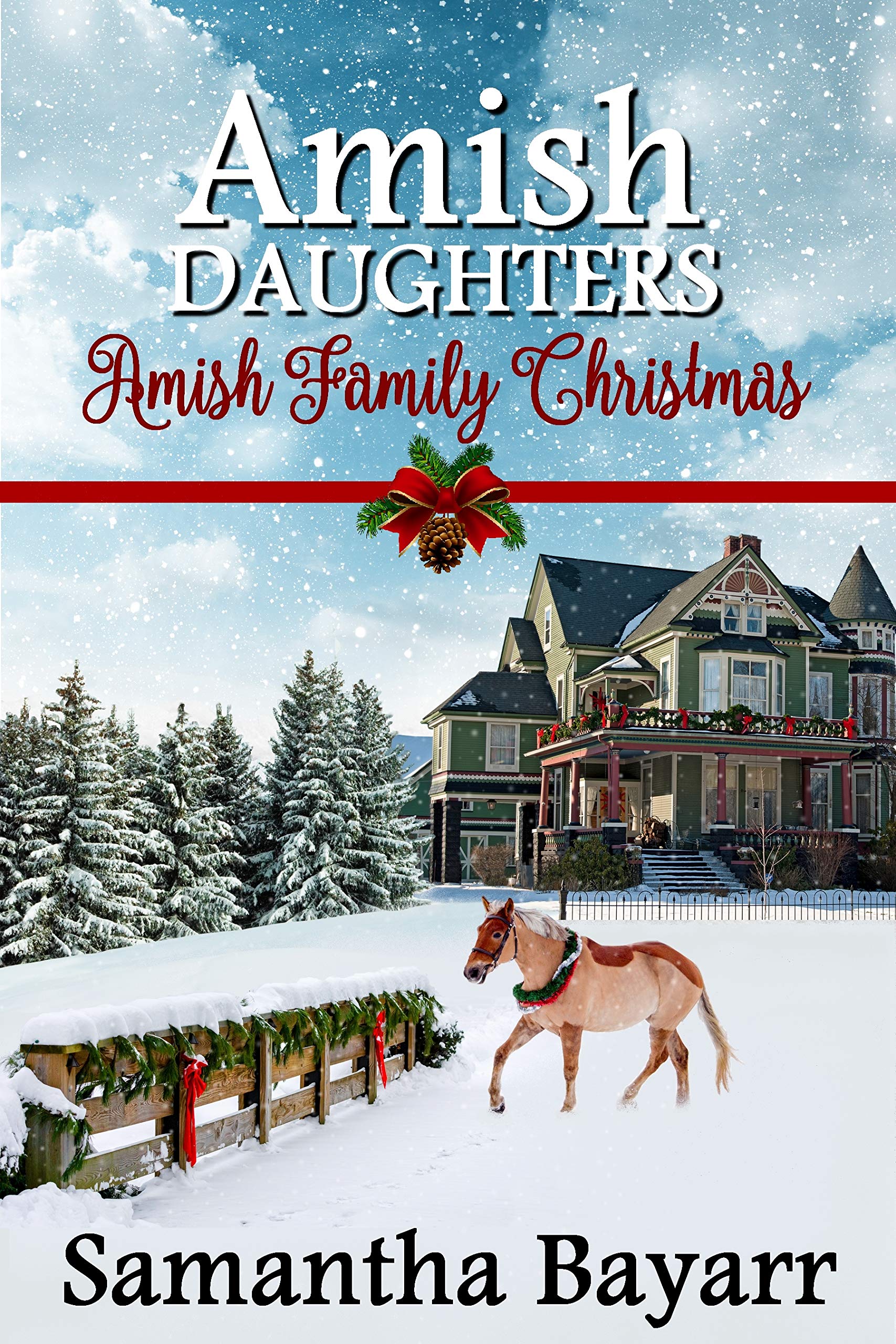 Amish Family Christmas book cover