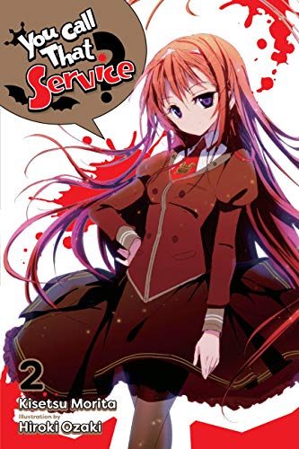 You Call That Service?, Vol. 2 (light novel) (You Call That Service? book cover