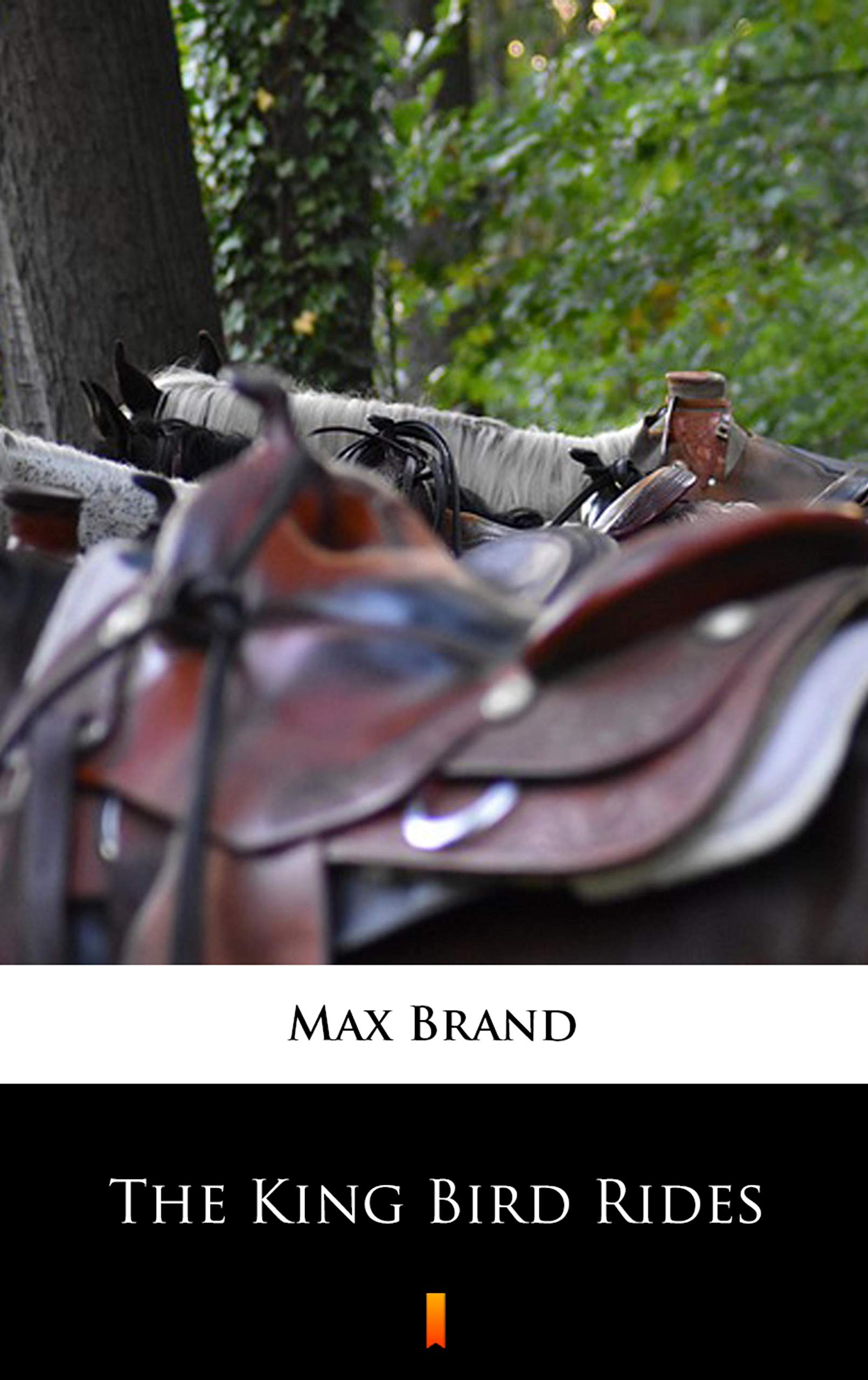 The King Bird Rides book cover