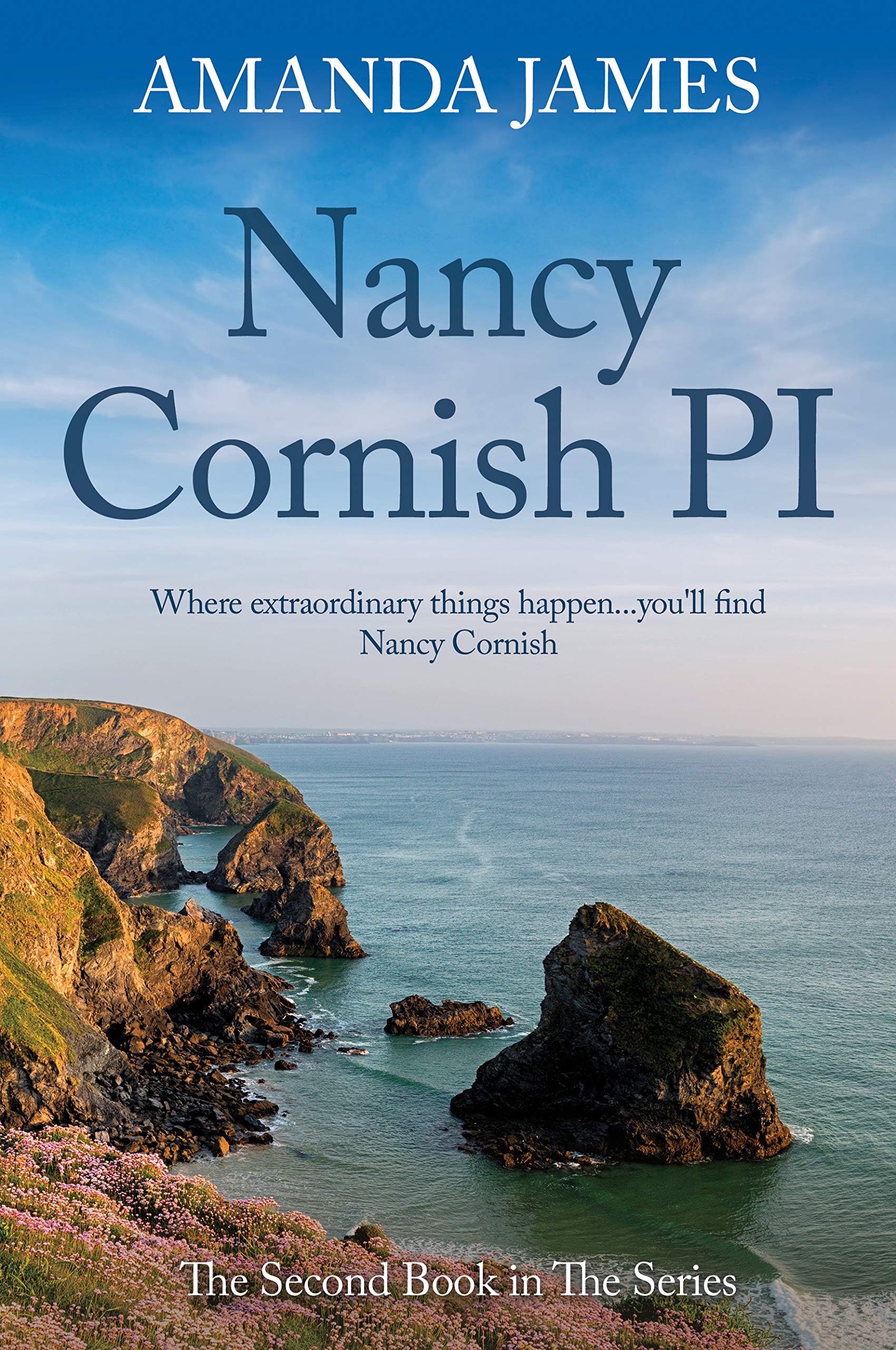 Nancy Cornish PI