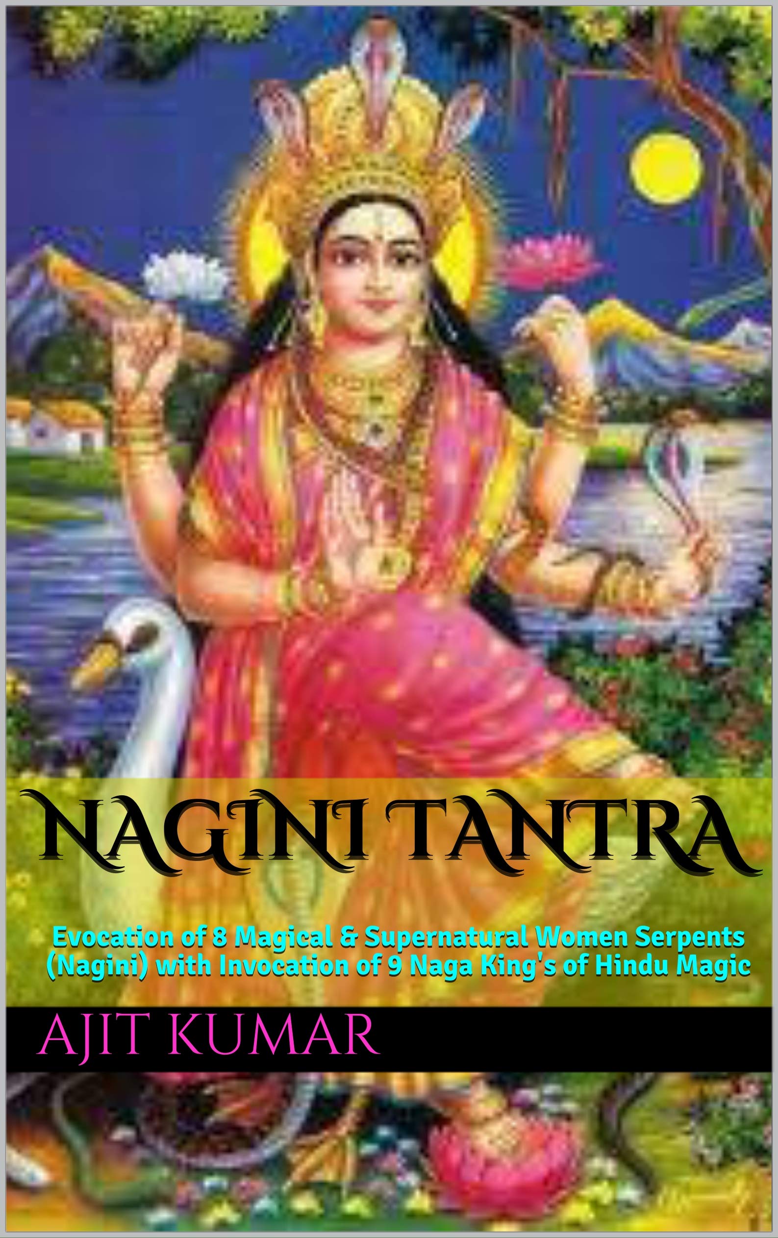 Naga Et Nagini (Temple De Chennakeshava à Belur, Inde - Foto 8