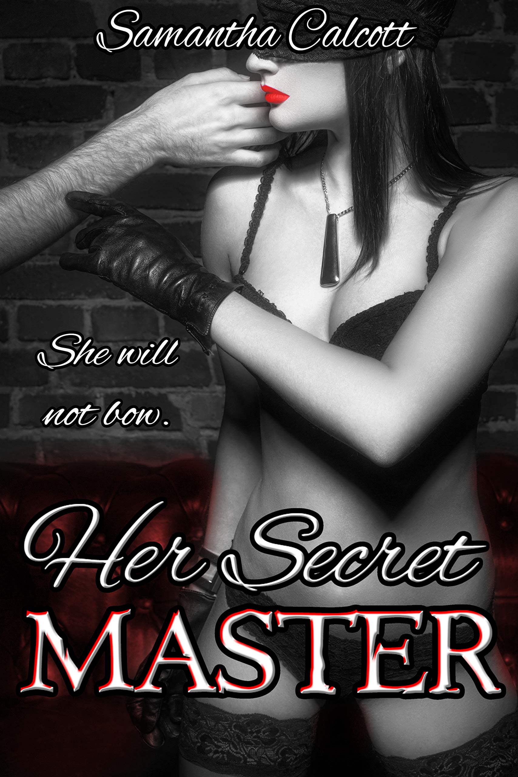 Her Secret Master book cover