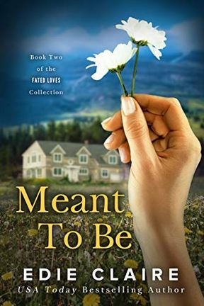 Meant To Be book cover