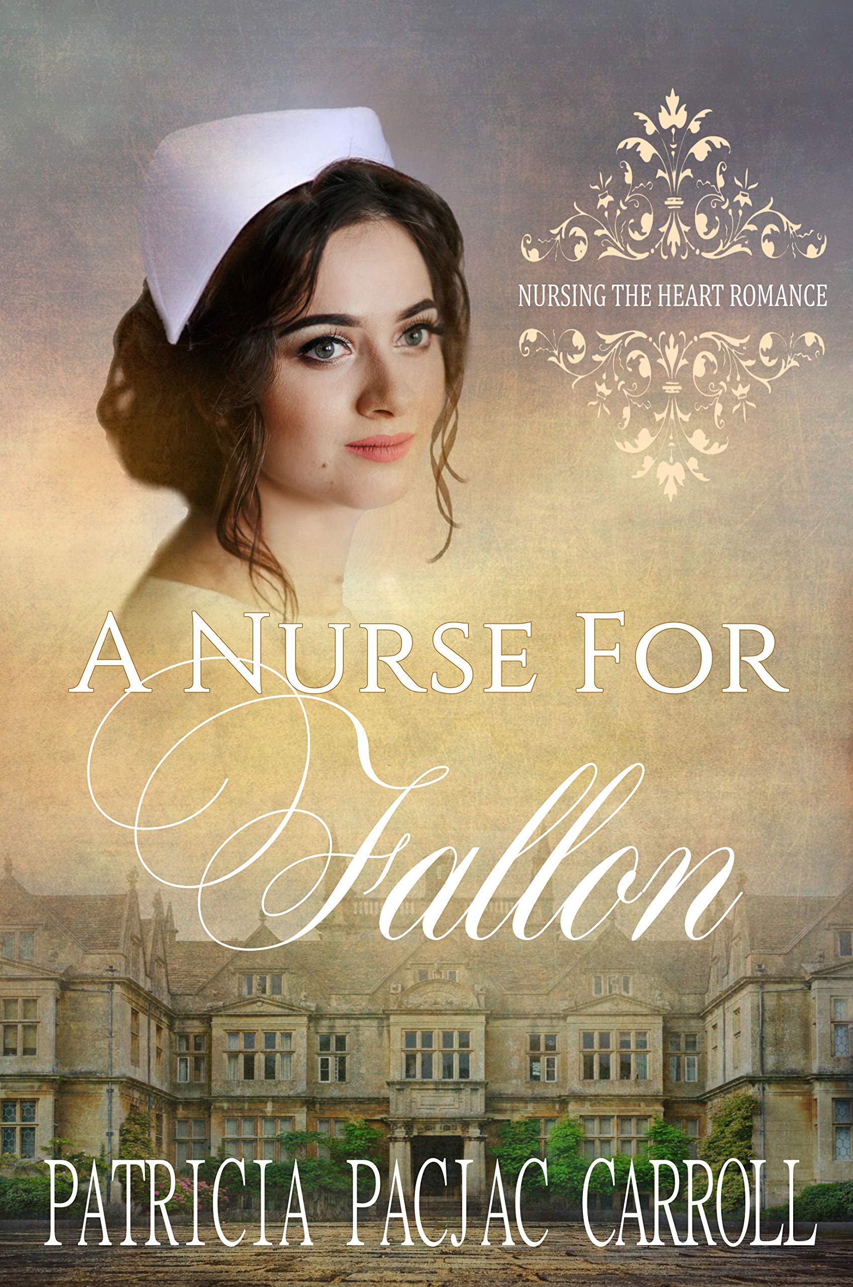 A Nurse for Fallon book cover