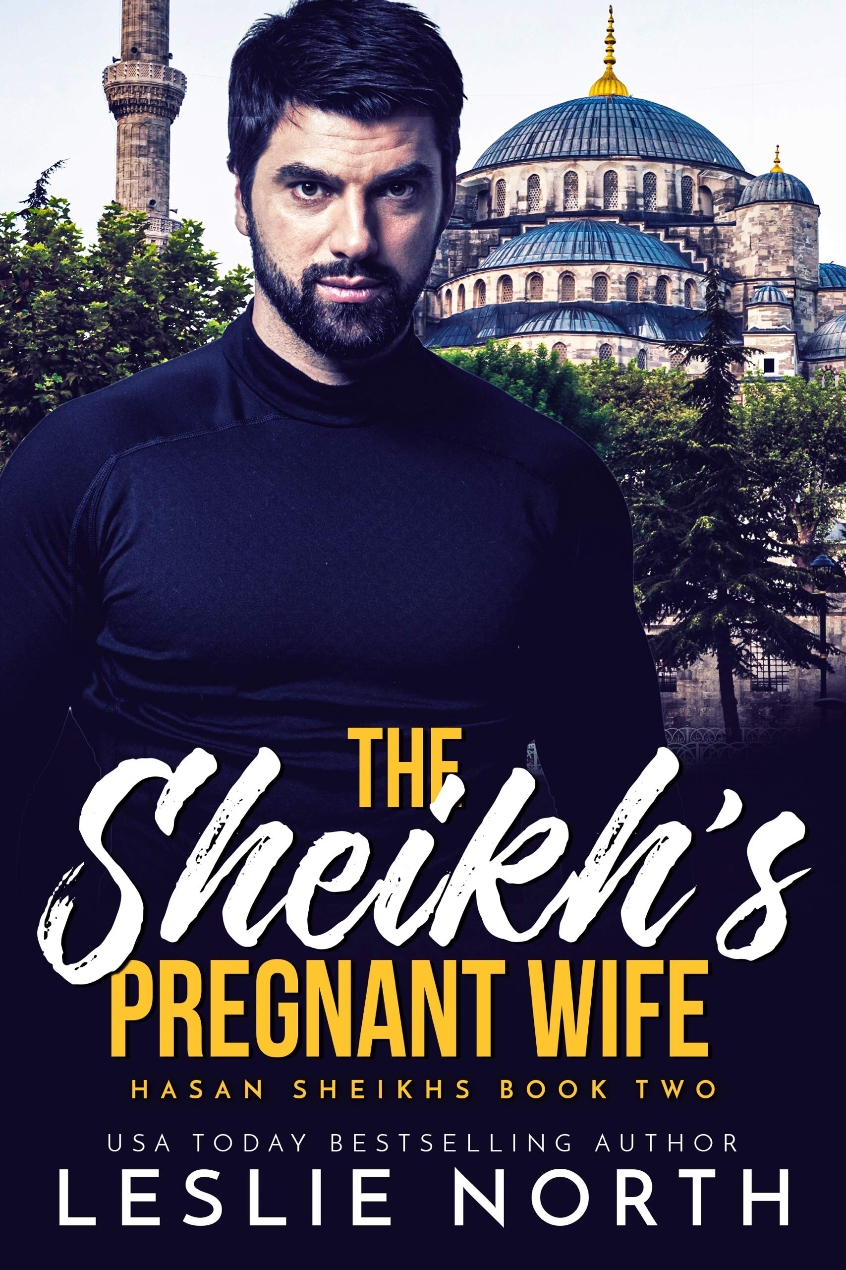Hasan Sheikhs book cover 2