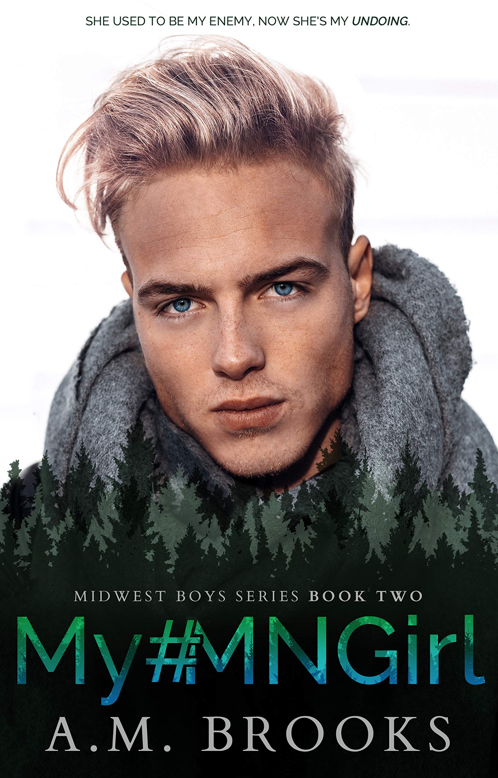 Midwest Boys book cover 3