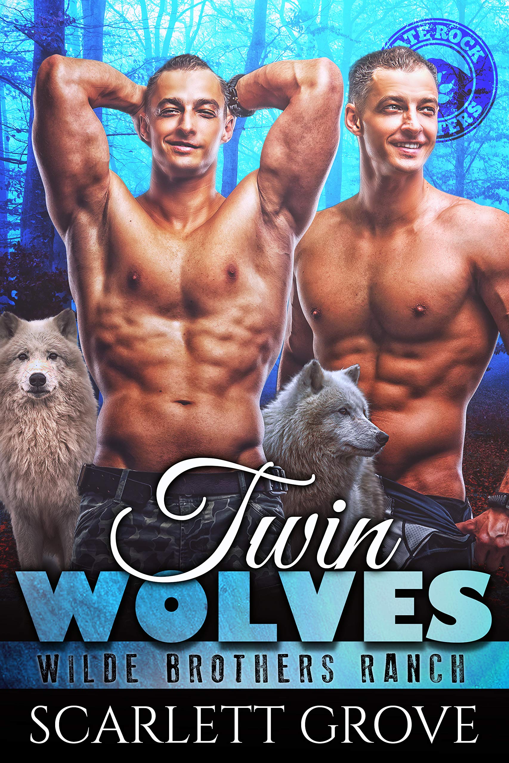 Twin Wolves book cover