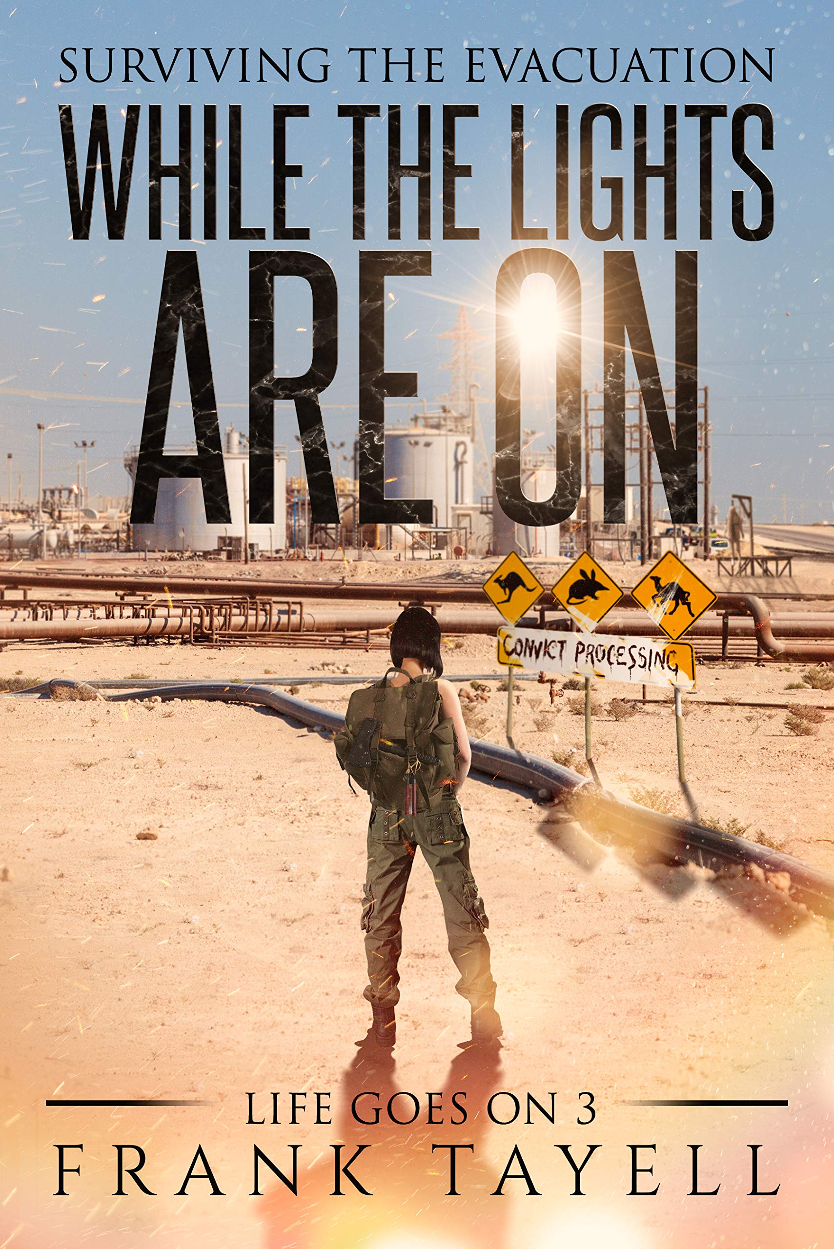 While the Lights Are On book cover