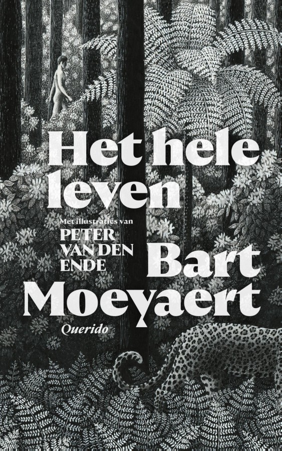 Het hele leven book cover