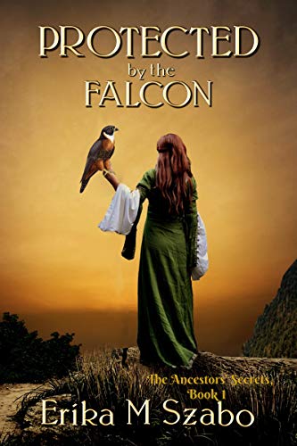 Protected by The Falcon