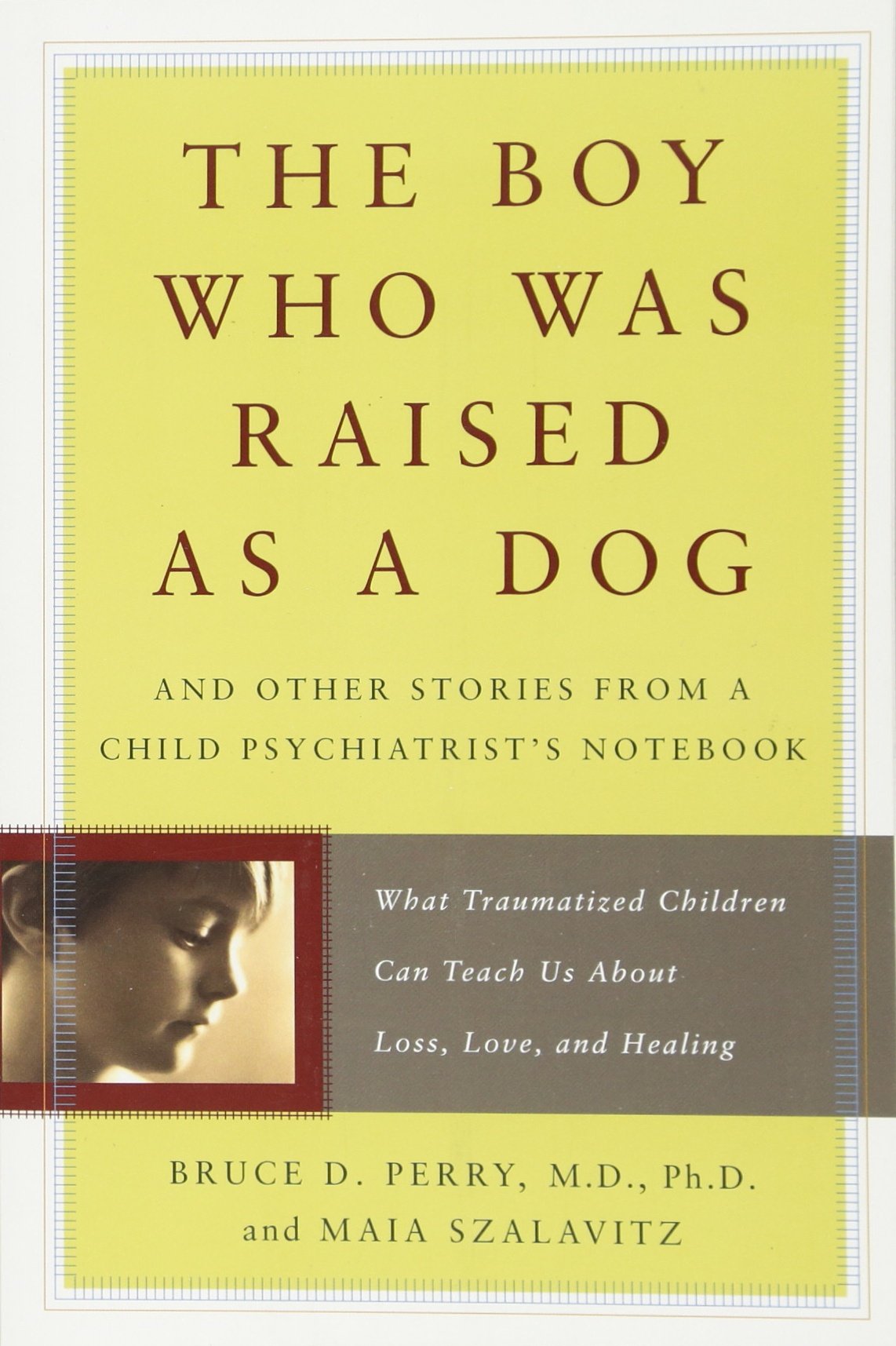 The Boy Who Was Raised as a Dog: And Other Stories from a Child Psychiatrist's Notebook