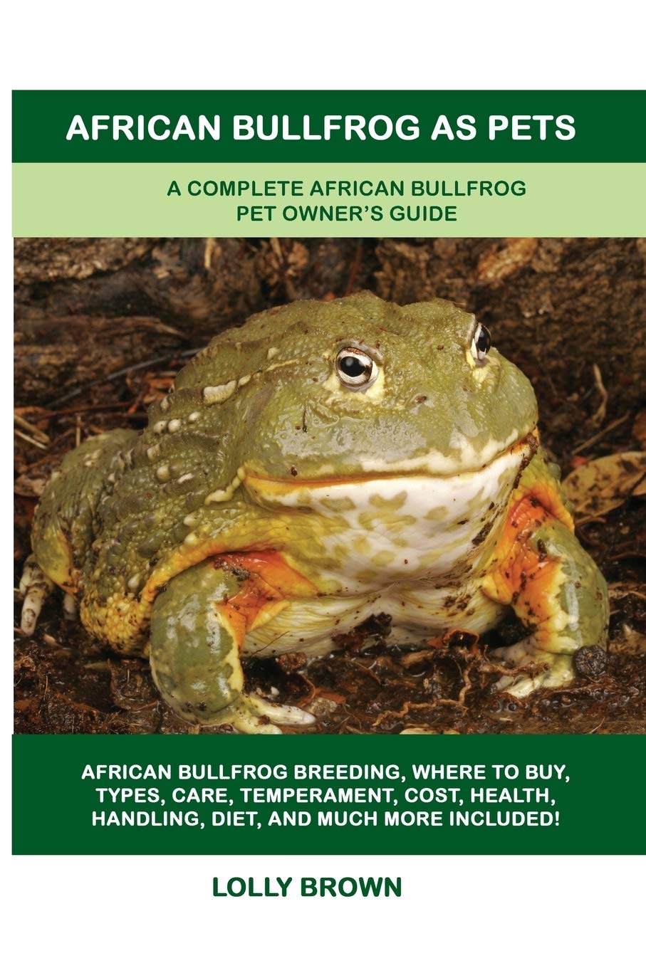 African Bullfrog as Pets A Complete African Bullfrog Pet Owner's Guide