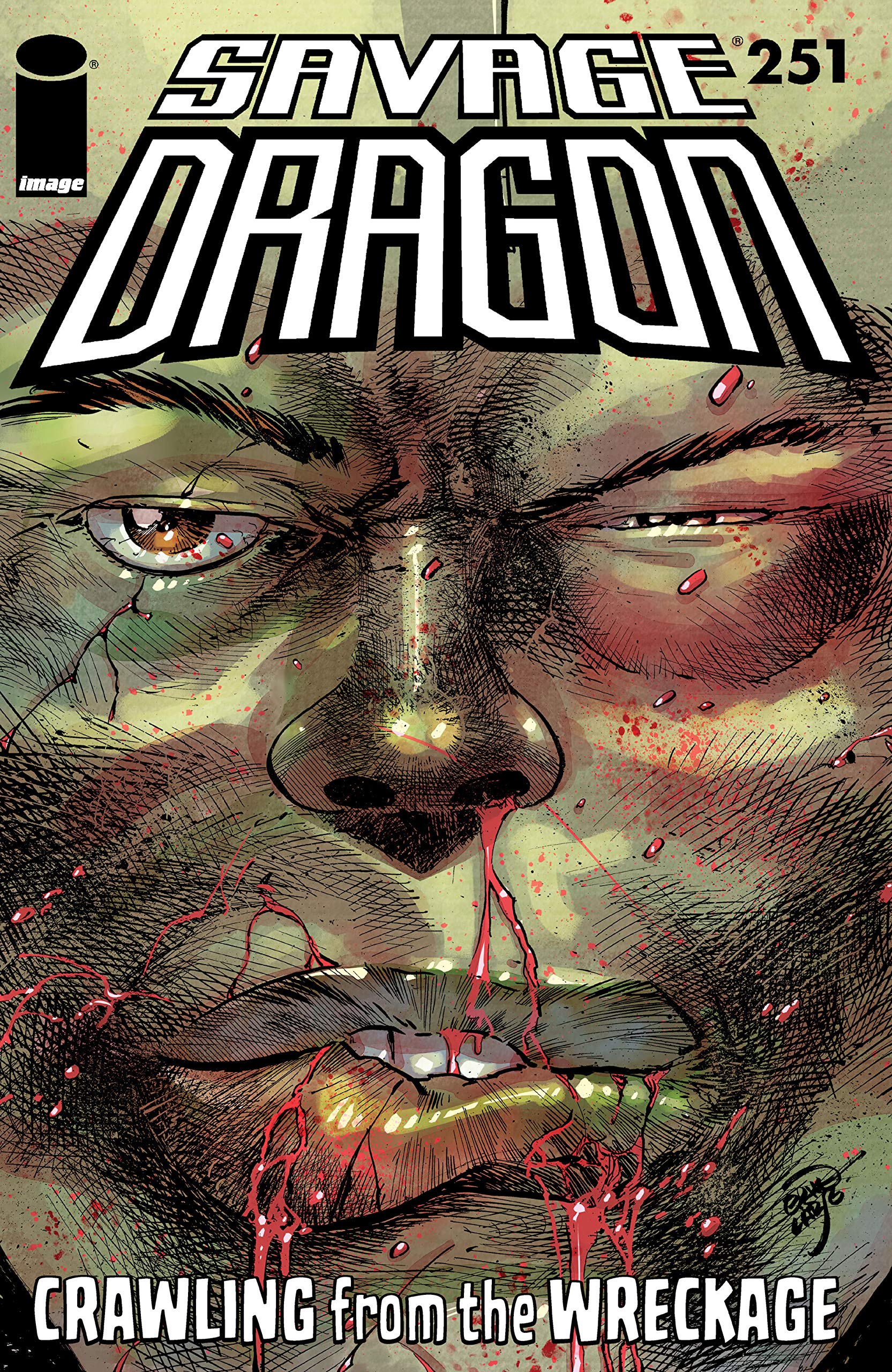 Savage Dragon #251 book cover