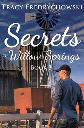 The Amish of Lawrence County book cover 3