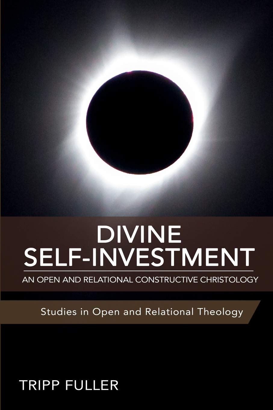 Divine Self-Investment book cover