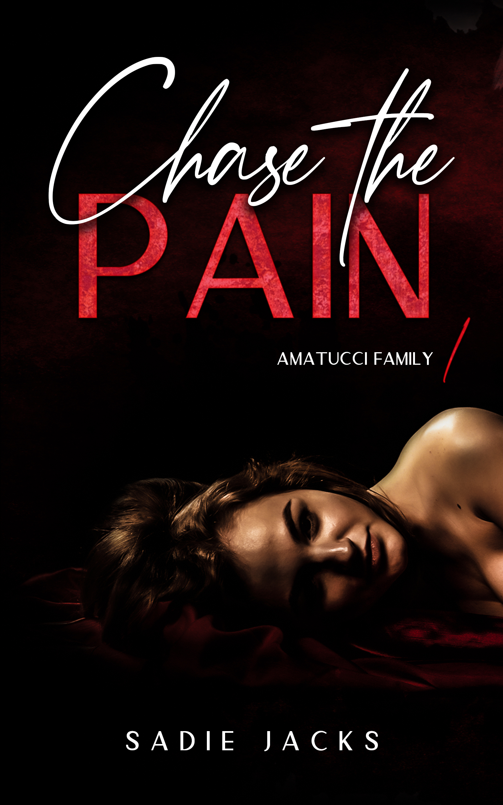 Amatucci Family book cover 1