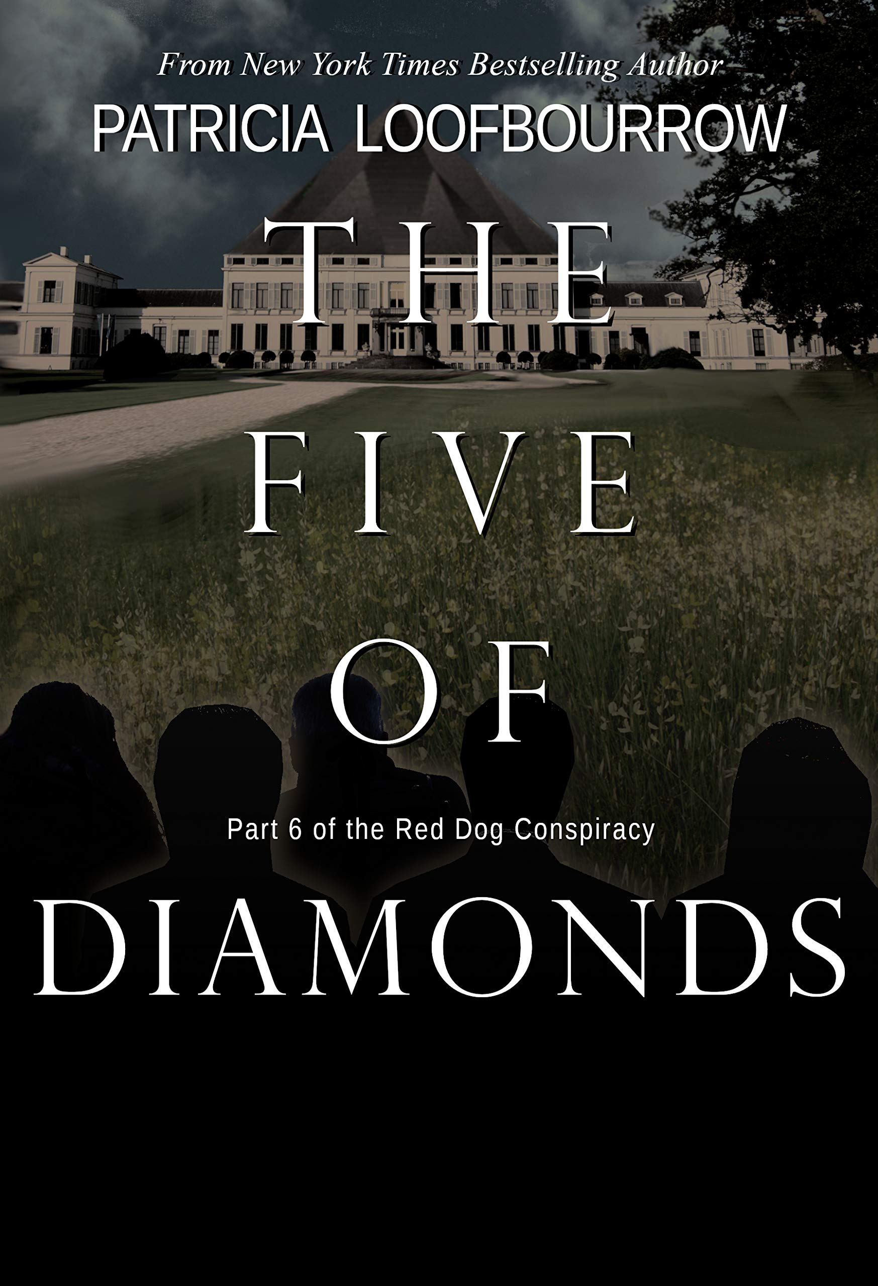 The Five of Diamonds book cover
