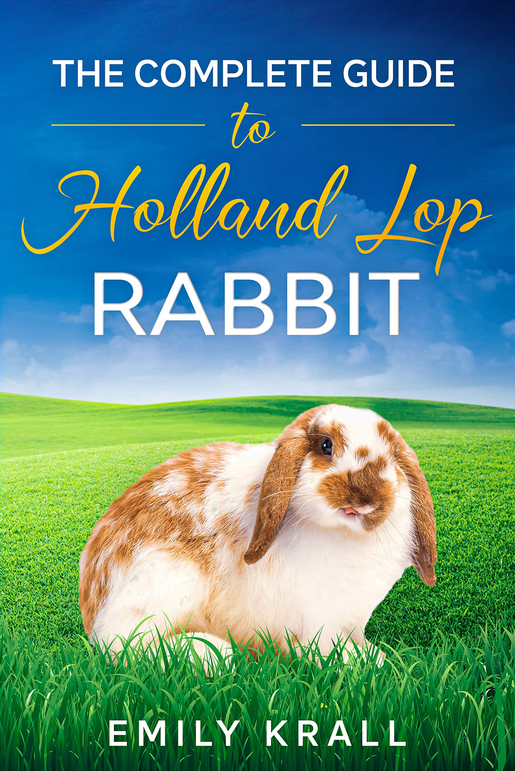 The Complete Guide to Holland Lop Rabbit Learn Everything You Need to