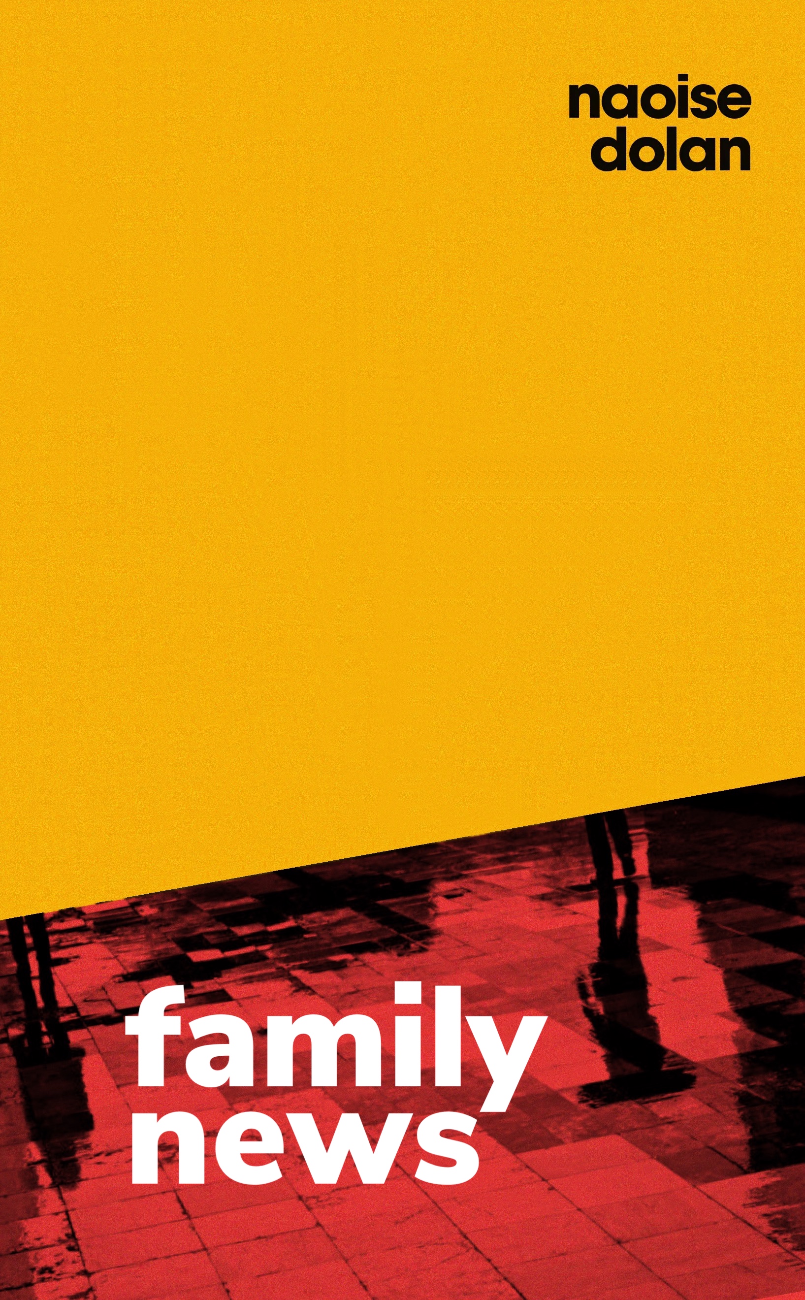 Family News book cover