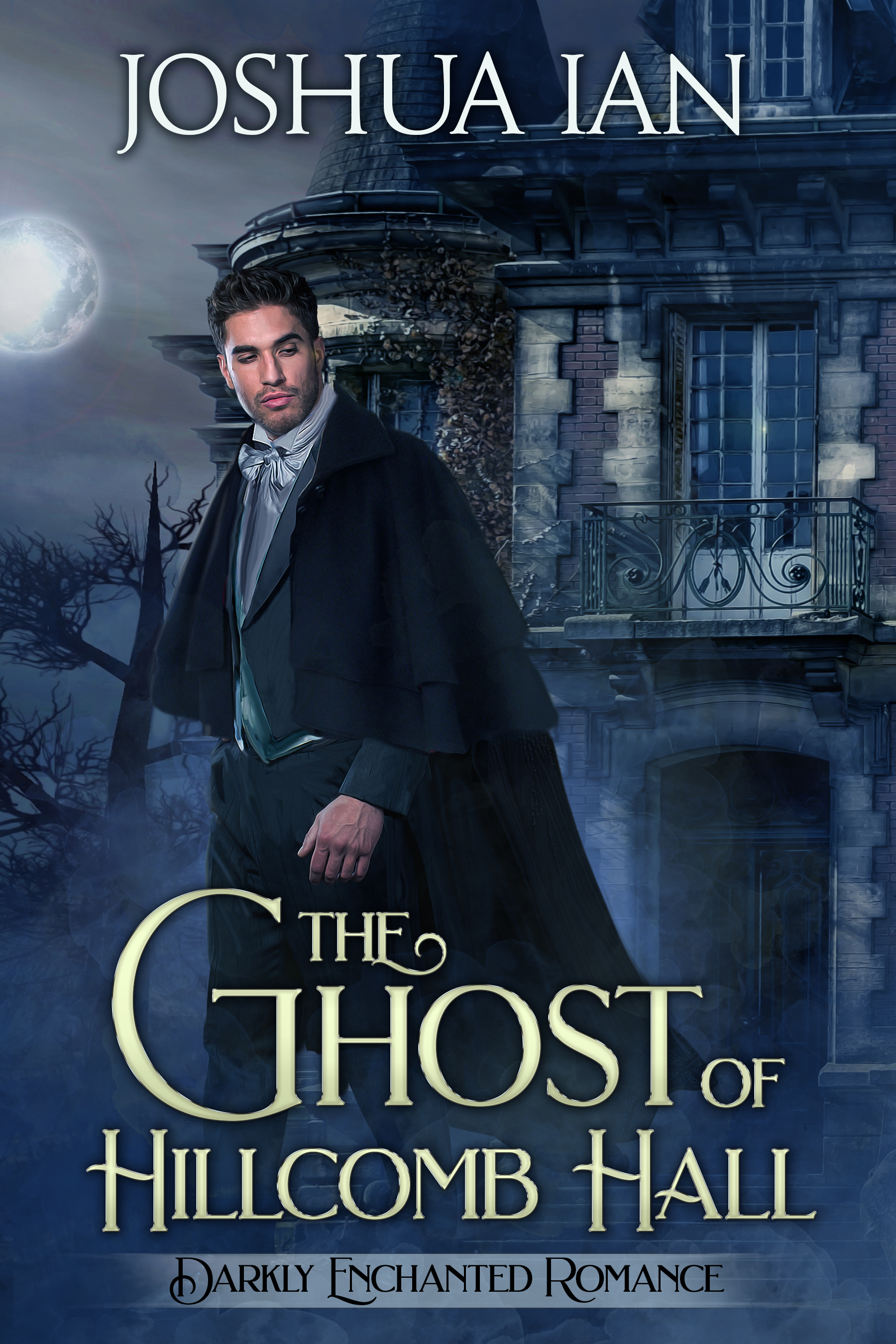 Darkly Enchanted Romance book cover 2