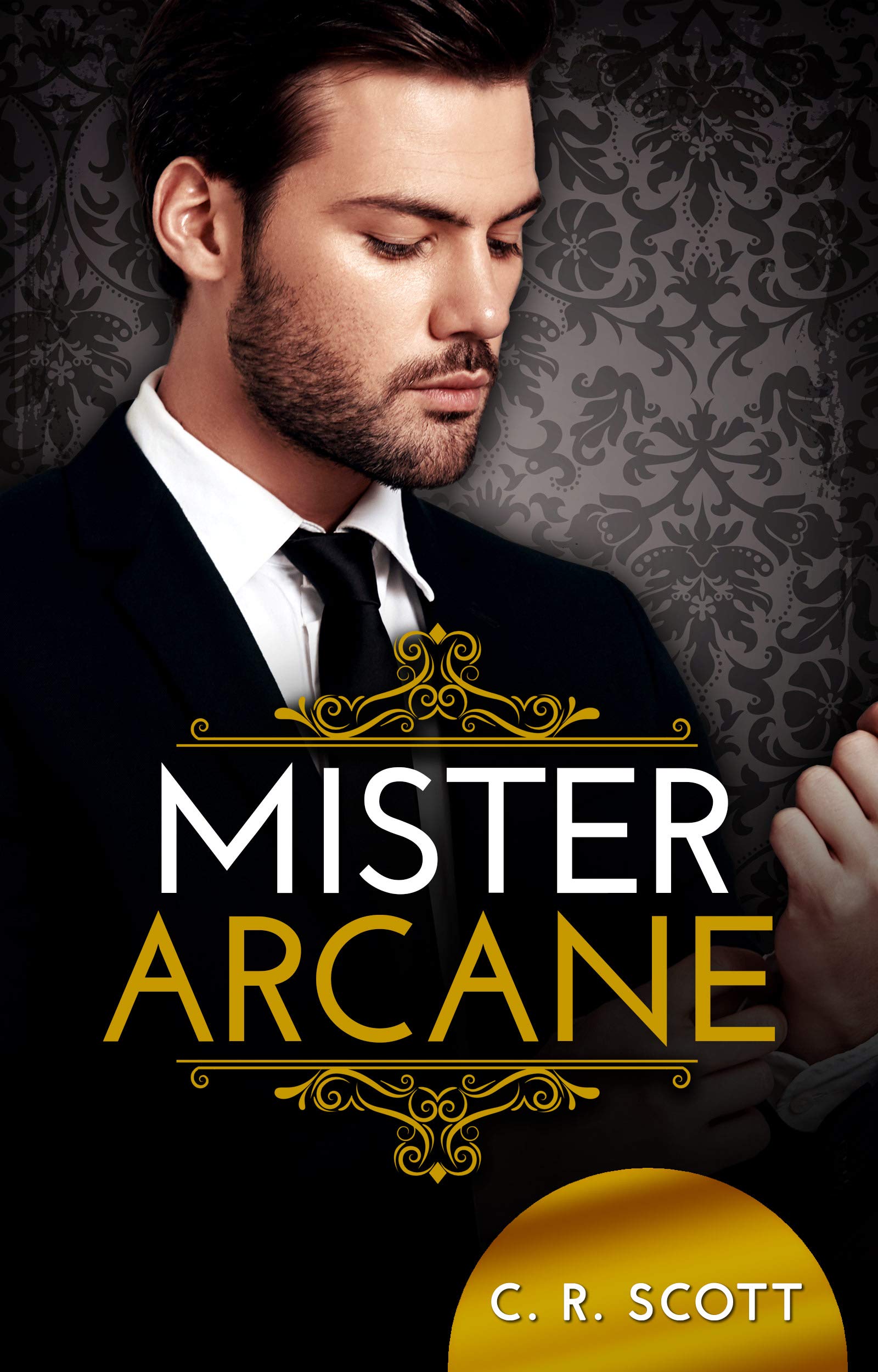 The Misters book cover 2