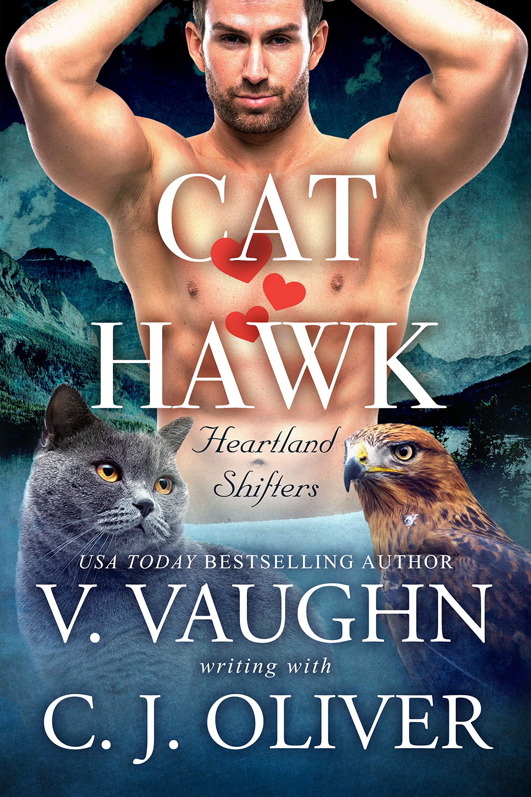 Cat Hearts Hawk book cover