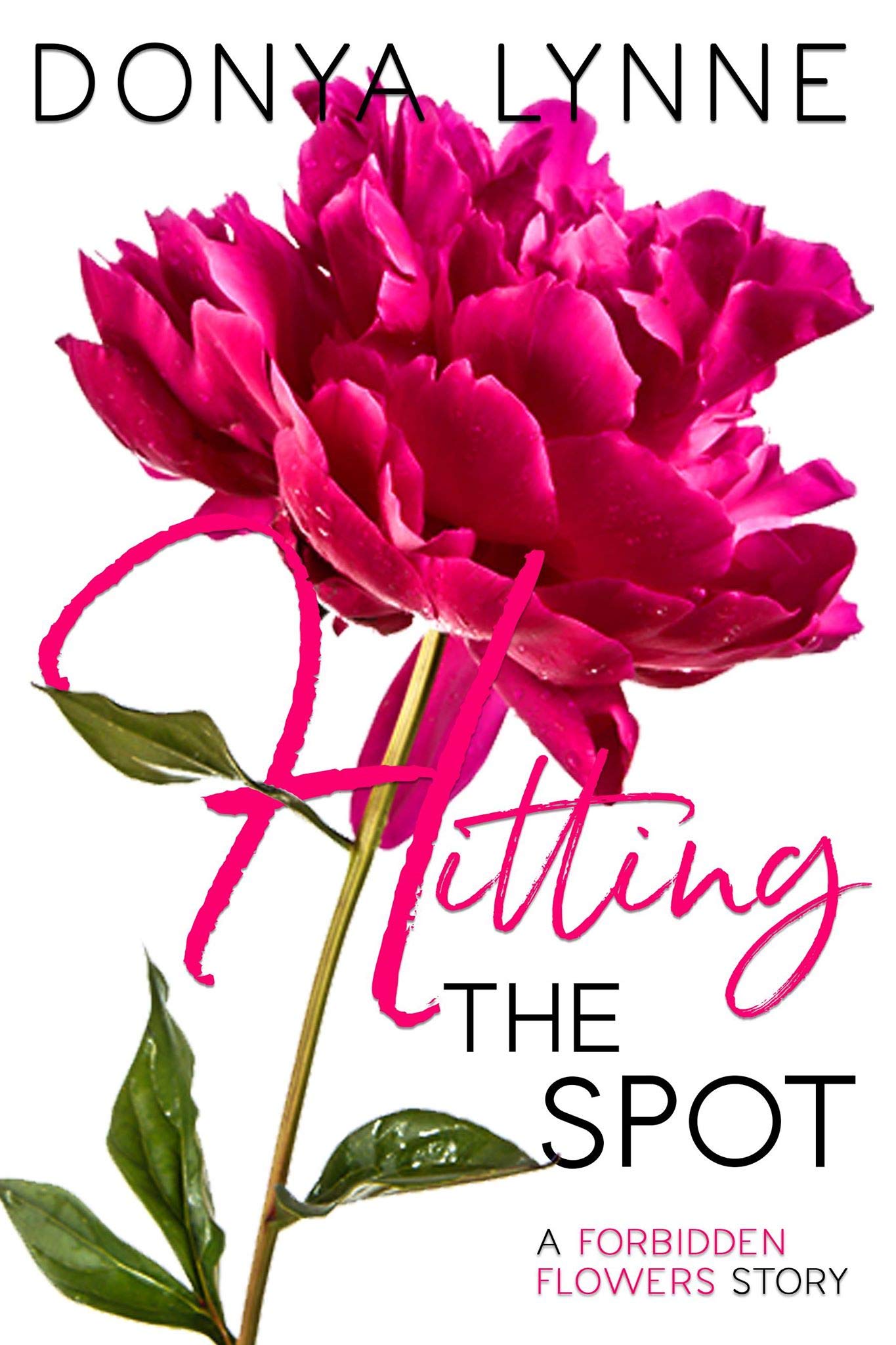 Hitting the Spot book cover