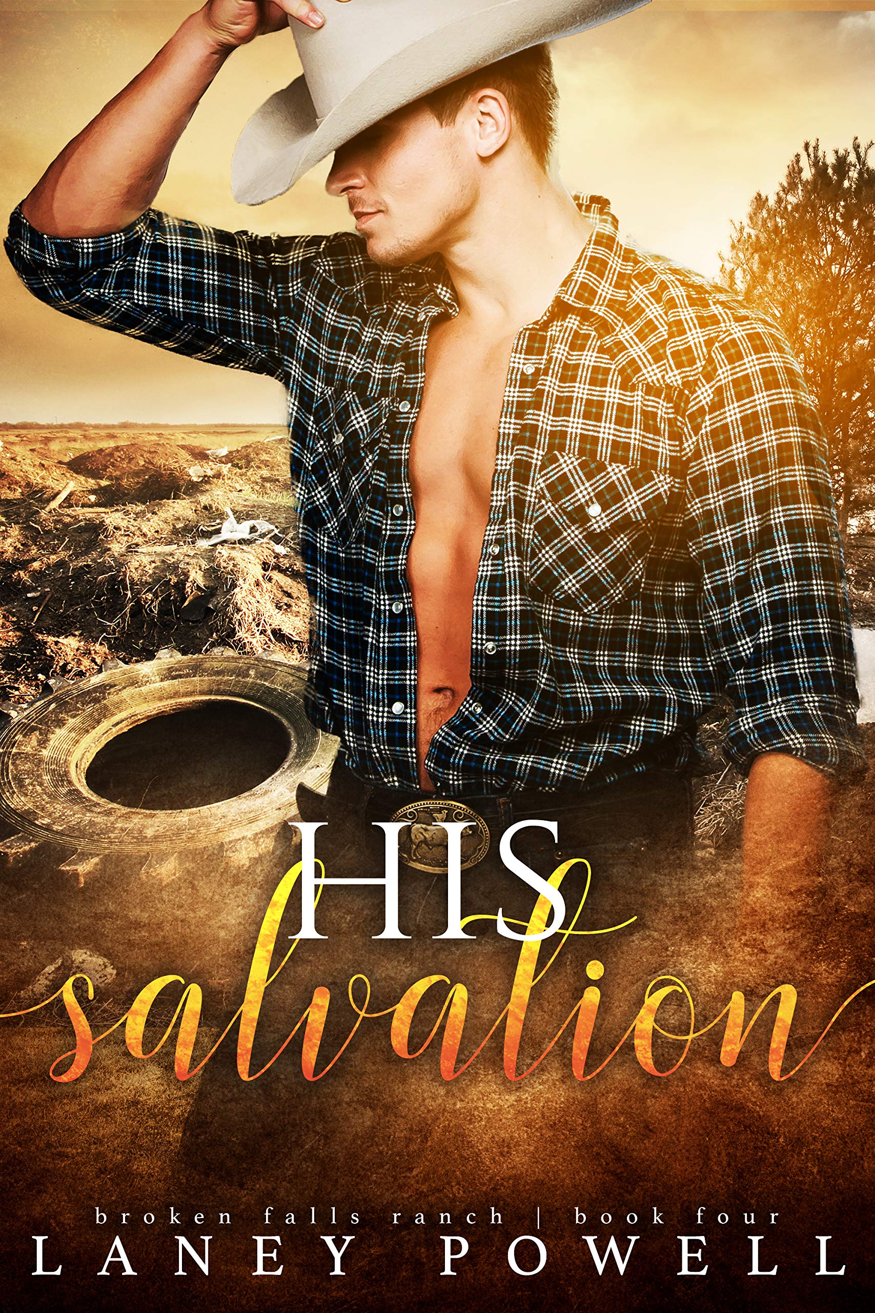 His Salvation book cover