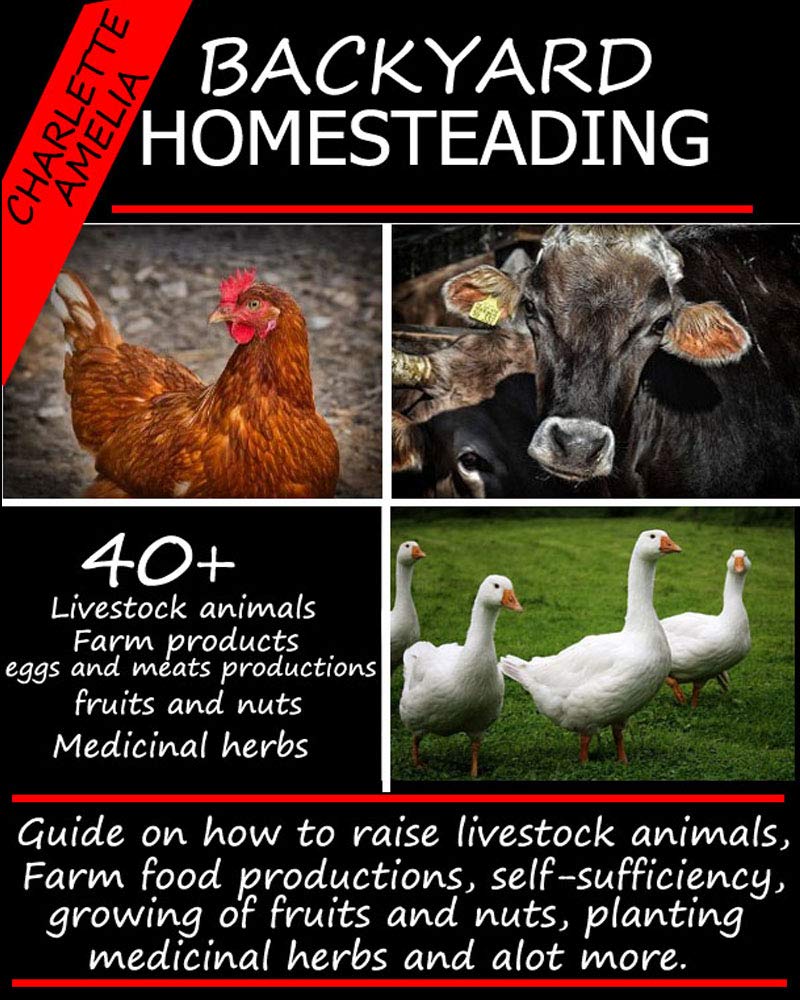 BACKYARD HOMESTEADING Guide on how to raise Livestock animals, Farm