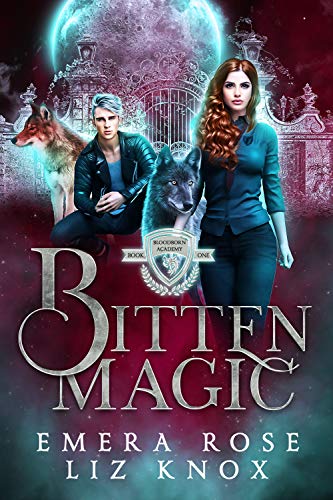 Bloodborn Academy book cover 1