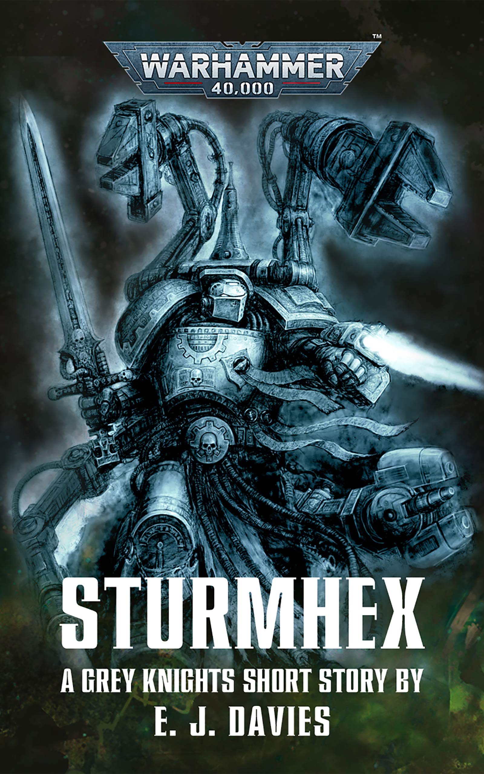 Sturmhex book cover