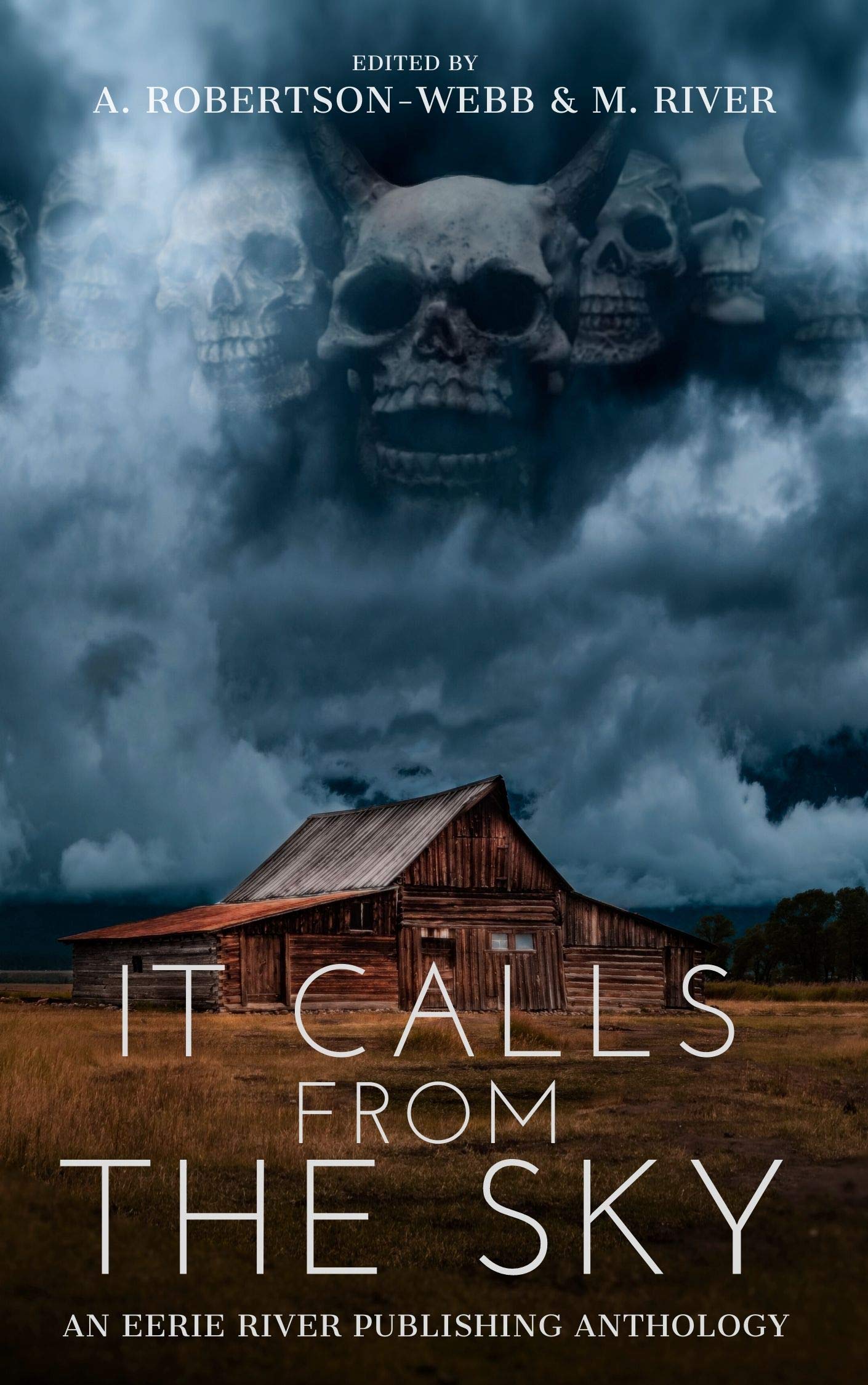 It Calls From the Sky book cover