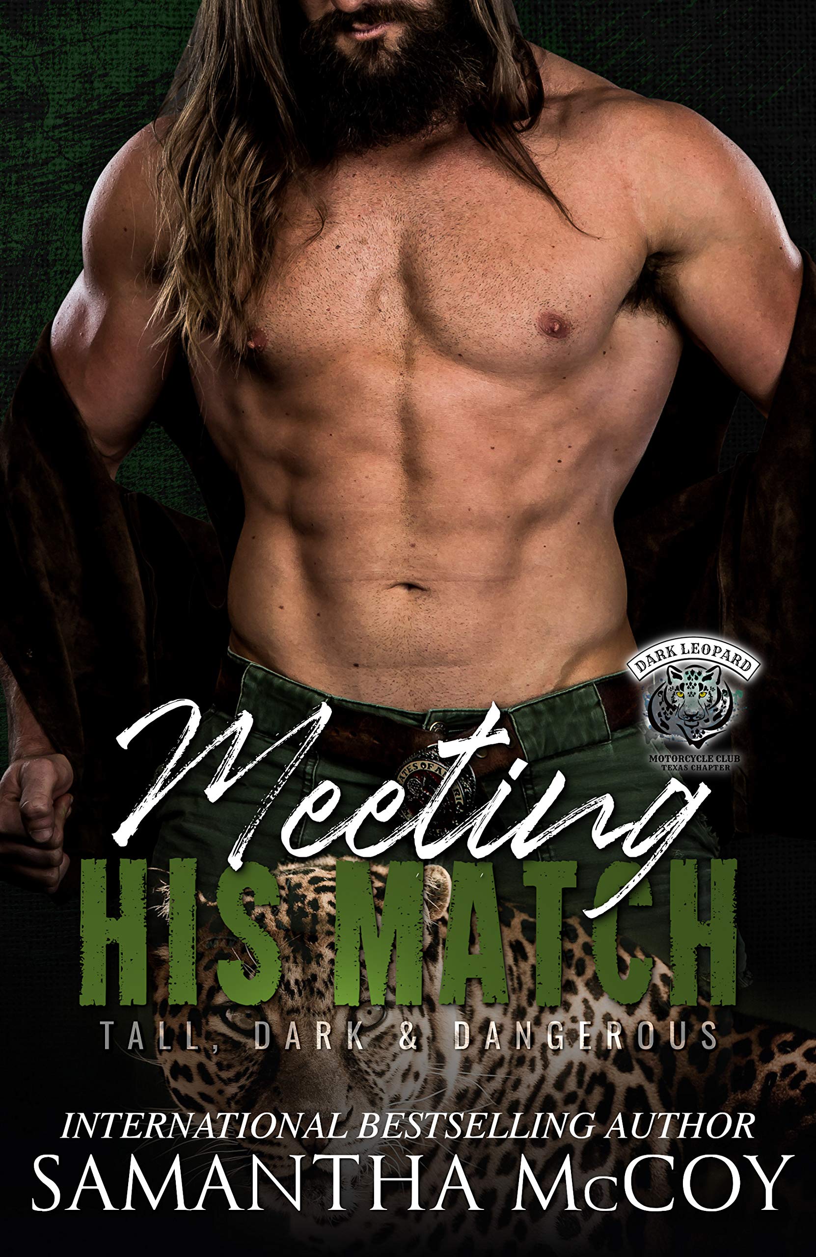 Meeting His Match book cover