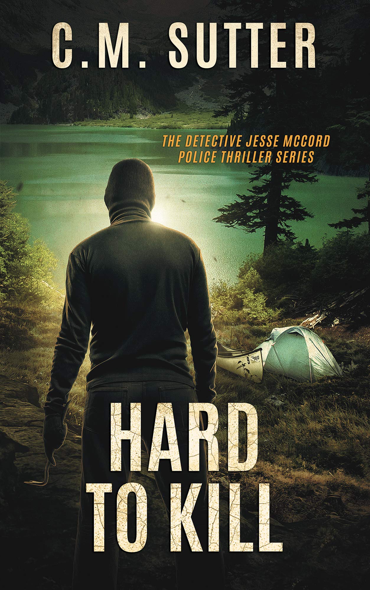 Hard to Kill book cover