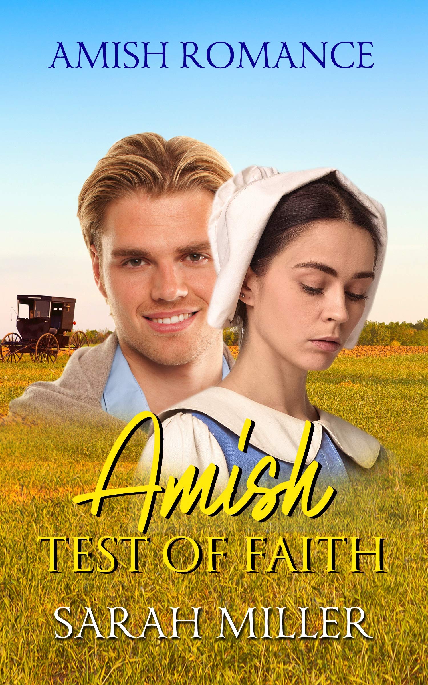 Amish Test of Faith book cover