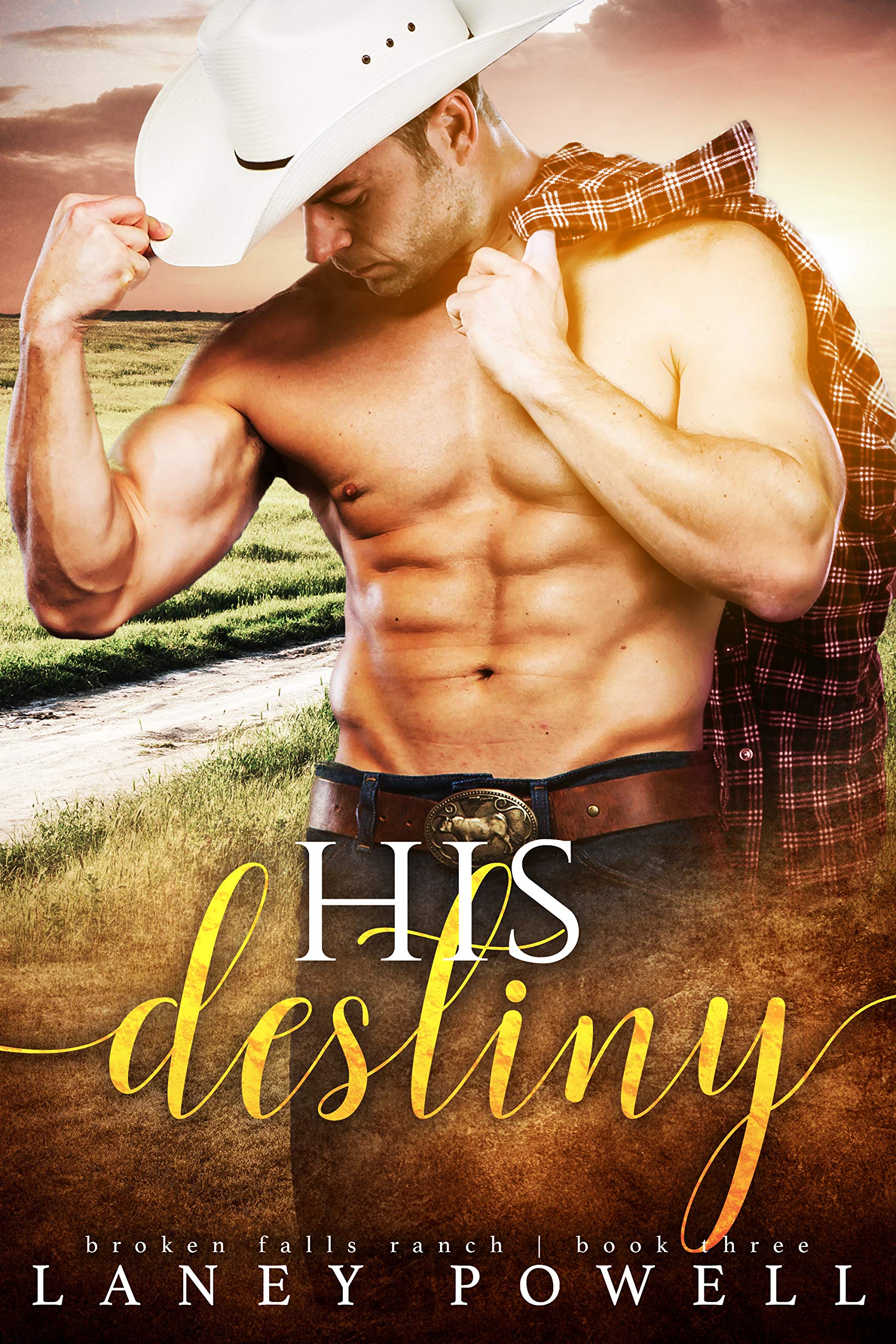 His Destiny book cover