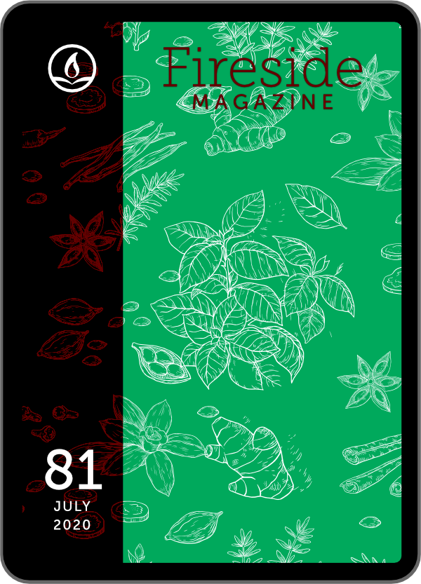 Fireside Magazine Issue 81, July 2020 book cover