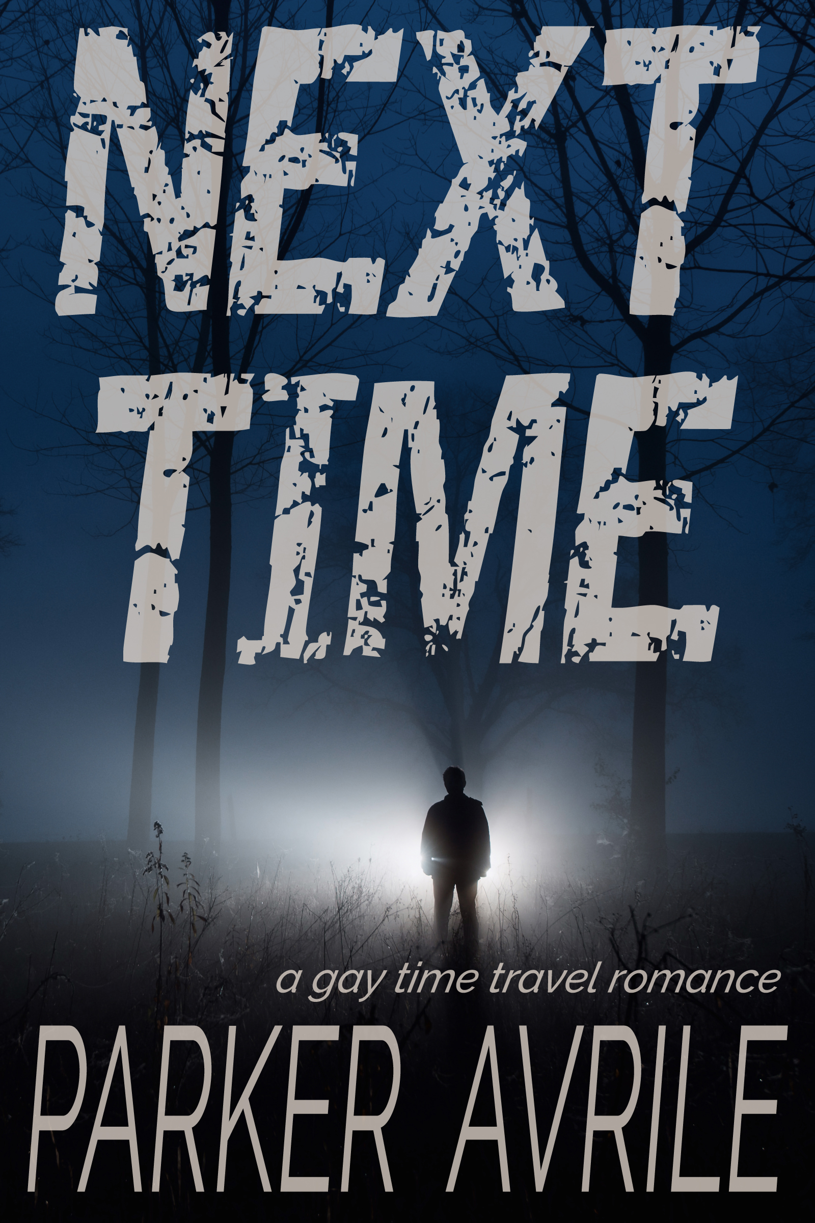 Next Time by Parker Avrile | Goodreads