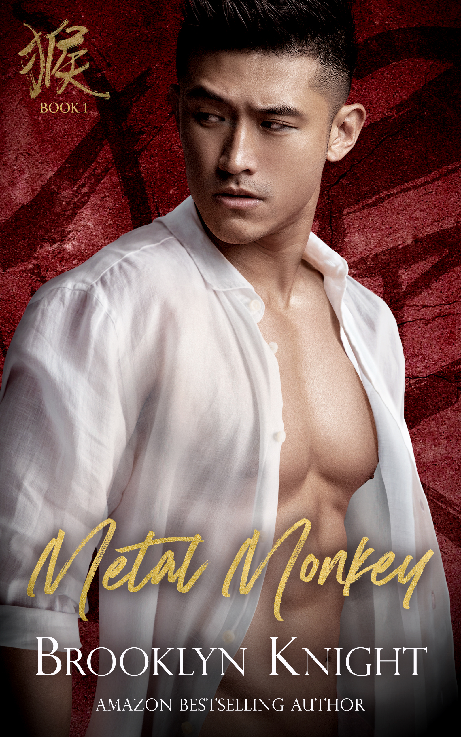 Metal Monkey book cover
